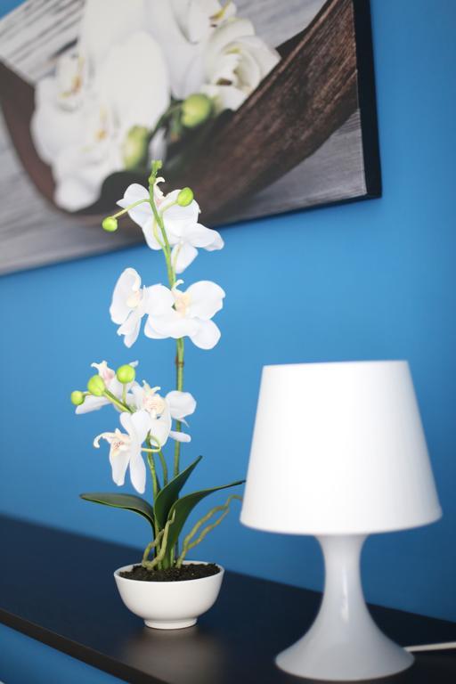 Iris Room Ρώμη Εξωτερικό φωτογραφία